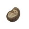 Hi-Line Gifts 5" Hedgehog on Its Back Outdoor Garden Statue